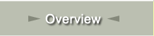 Overview