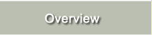 Overview